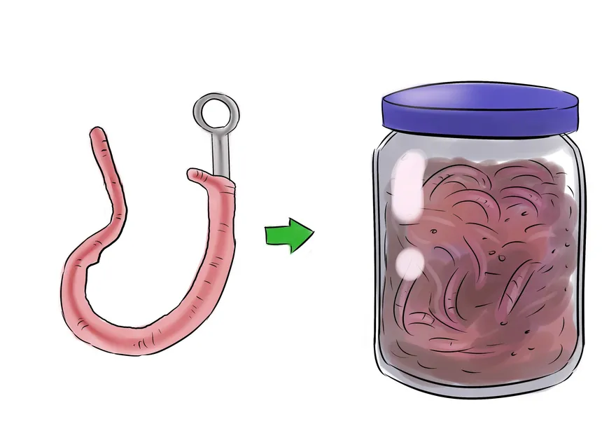 Como iscar um anzol com uma minhoca