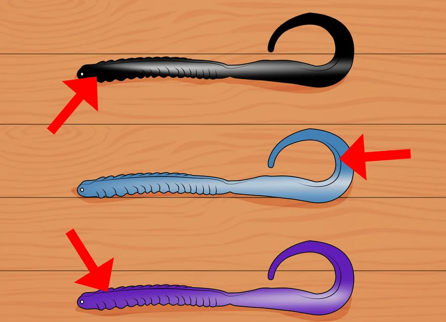 Como escolher iscas para a pesca do robalo