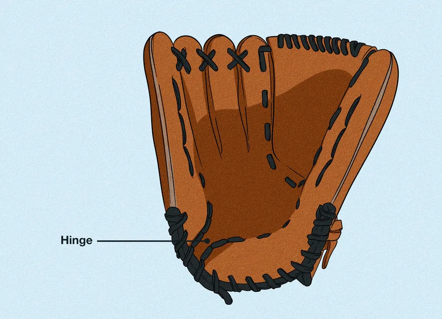 Como medir uma luva de beisebol: Posições, tabelas de tamanhos e muito mais