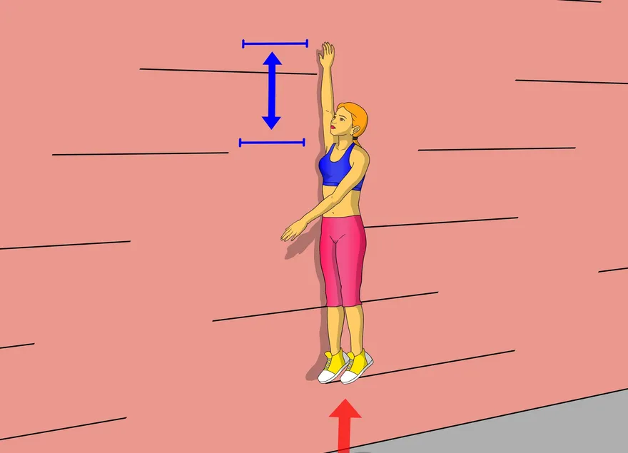 Como medir a força da parte inferior do corpo