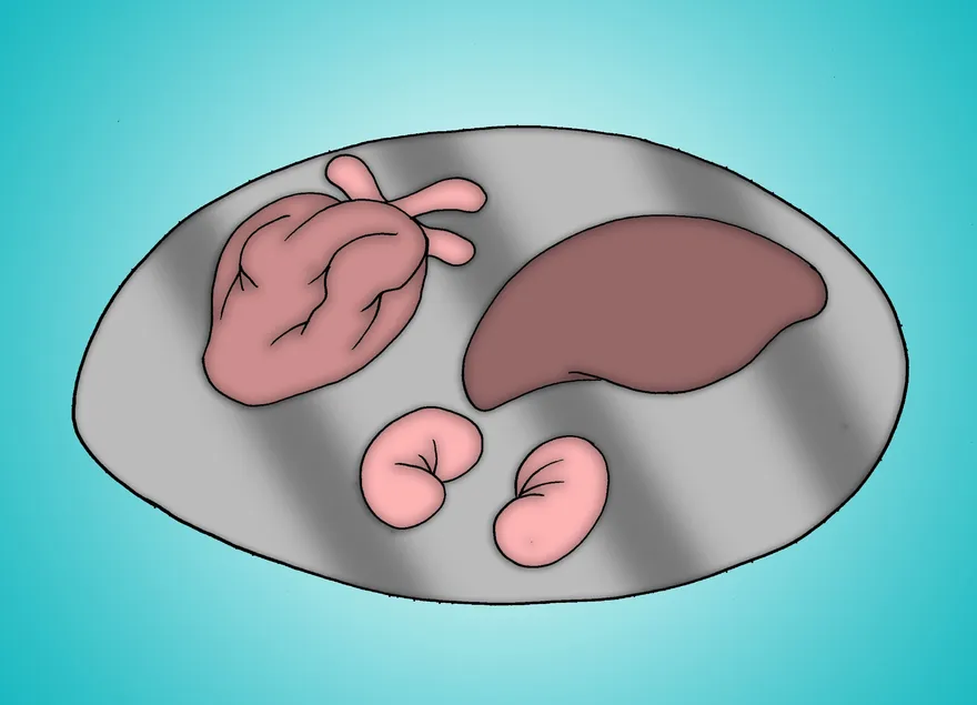 Como tirar a pele de um animal morto