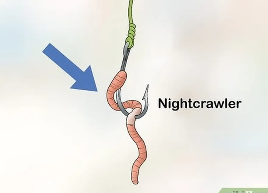 Etapa 6 Use nightcrawlers como isca e prenda 1 ao anzol.