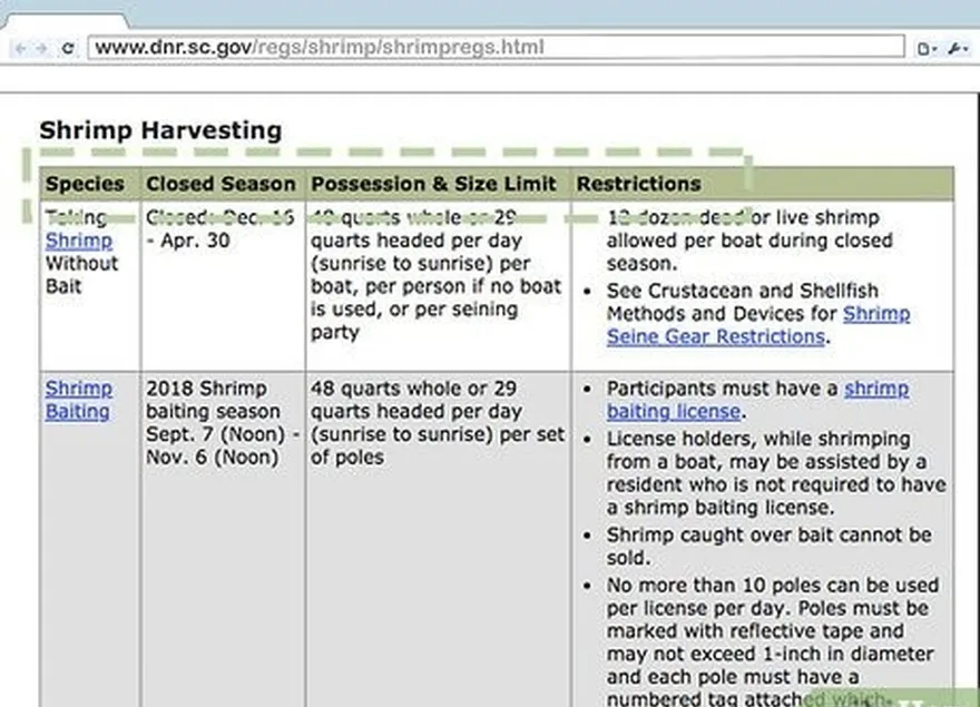 Passo 3 Consulte a Internet para conhecer o seu estado's shrimp catching regulations.