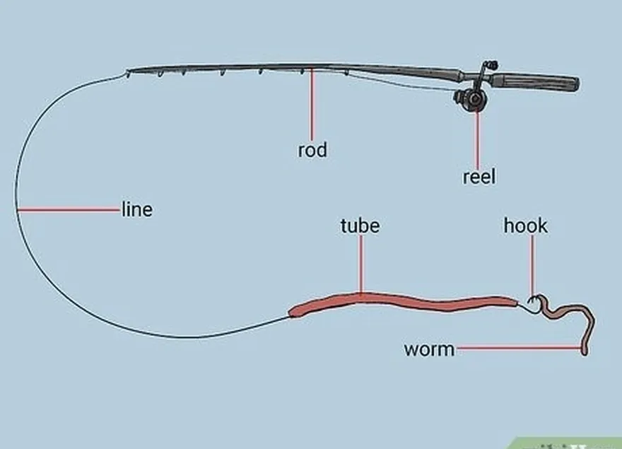 Passo 2 Inclinar o tubo's hook with a live sandworm or herring strip.