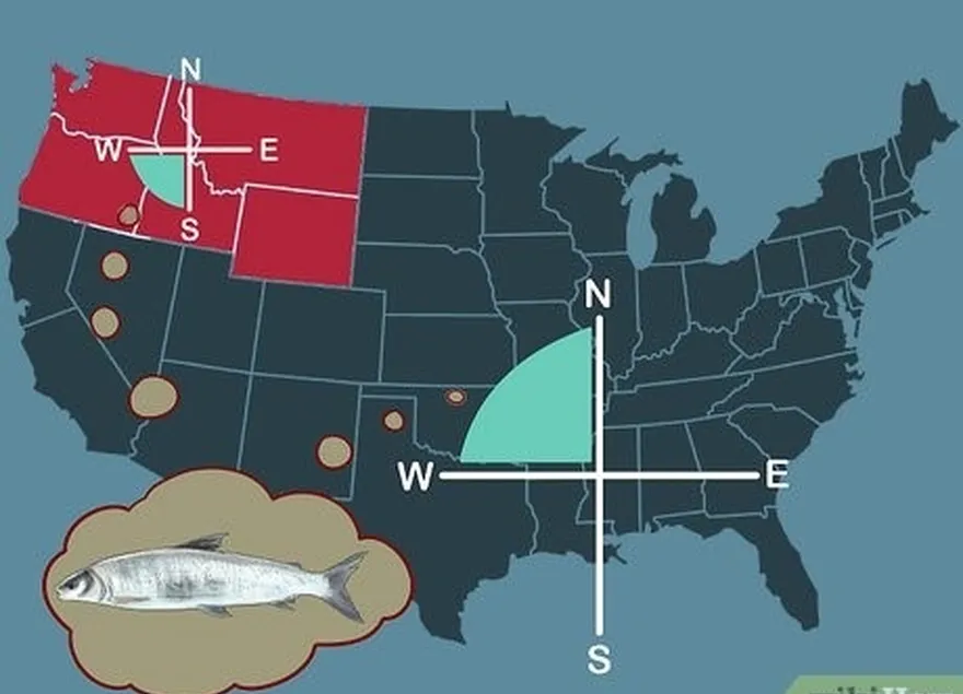 etapa 1 viaje para o noroeste dos eua ou sudoeste do canadá para pescar peixes brancos.