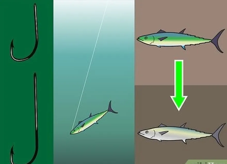 Etapa 3 Use um anzol de haste curta por sua resistência e um anzol de haste longa para facilitar a remoção do anzol do peixe.