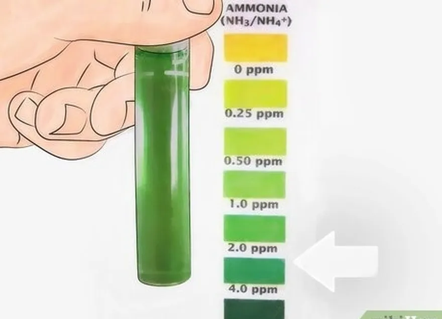 Passo 4 Tente manter o nível de amoníaco em cerca de três ppm.
