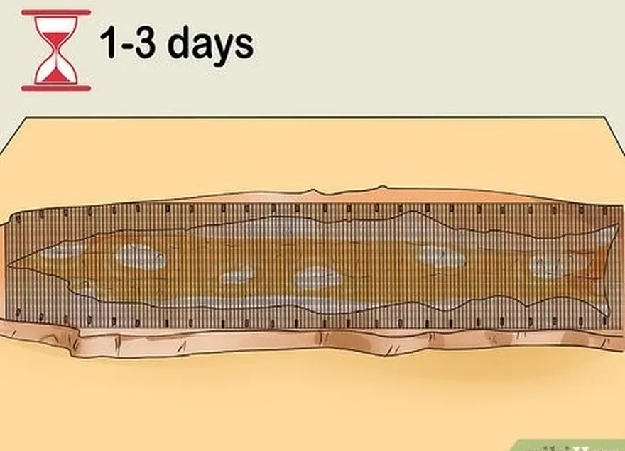 Etapa 2 Deixe a pele de cobra secar por 1 a 3 dias.