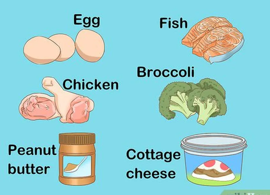 Etapa 1 Coma de 0,6 a 1 grama de proteína por 0,45 kg de peso corporal.