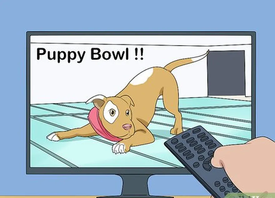 etapa 6 sintonize o puppy bowl antes do jogo.