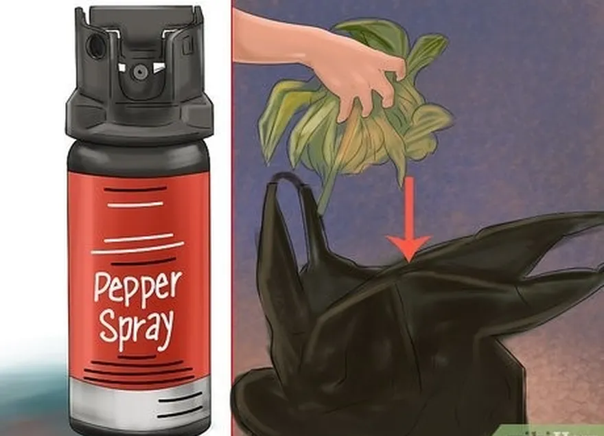 etapa 5 compre os repelentes de urso necessários, como spray de pimenta e recipientes à prova de ursos.