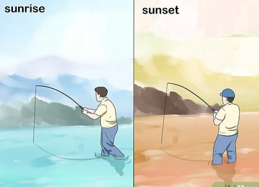 Etapa 2 Pesque próximo ao nascer ou ao pôr do sol para aproveitar o tempo de alimentação.