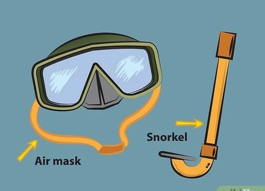 Etapa 2 Compre a máscara de ar e o snorkel.