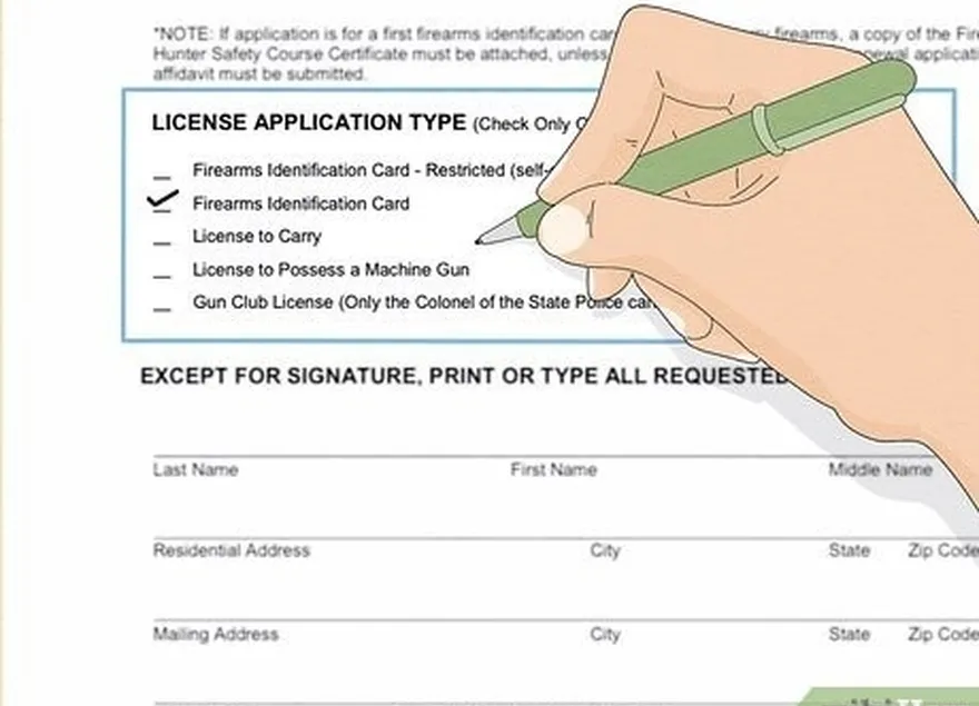 Etapa 4 Indique o tipo de licença de porte de arma que está solicitando.