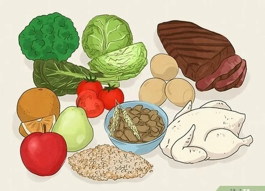 Tente comer refeições com proteínas, grãos integrais, frutas e vegetais.