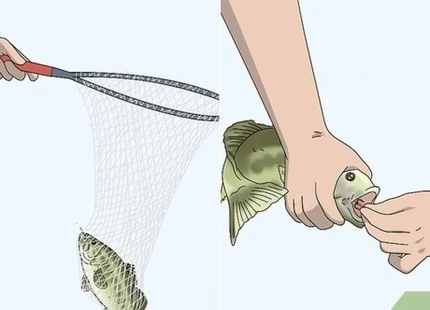 Etapa 4 Pegue a linha para puxar o peixe para fora da água.