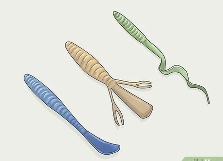 Etapa 1 Experimente diferentes tamanhos e estilos de minhocas de plástico para robalos e outros peixes.