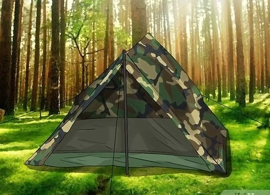 Passo 3 Compre uma tenda de camuflagem se're trying to be discreet.