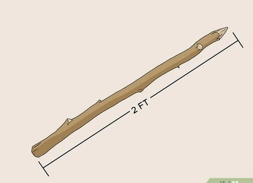 Passo 6 Afie a extremidade de uma vara de base de 0,61 m (2 pés).