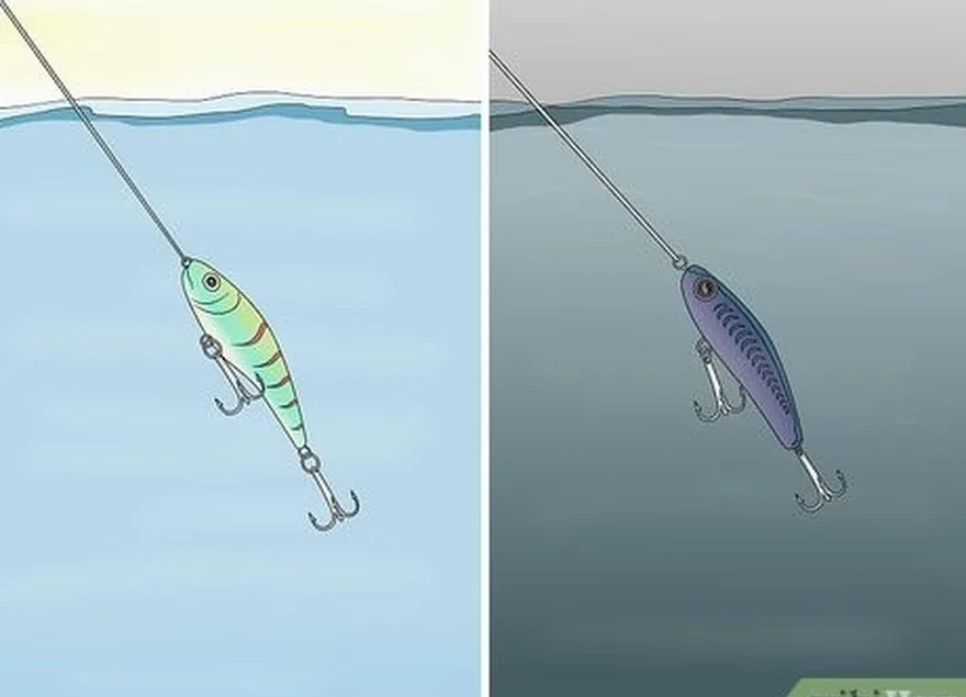 Passo 2 Escolha as cores dos iscos de acordo com o clima e as condições da água.