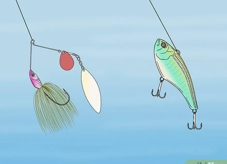 Passo 7 Em caso de dúvida, escolha um spinnerbait ou um crankbait.