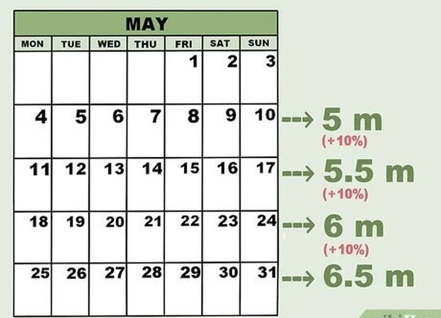 Etapa 3 Aumente a distância de suas corridas em 10% a cada semana.