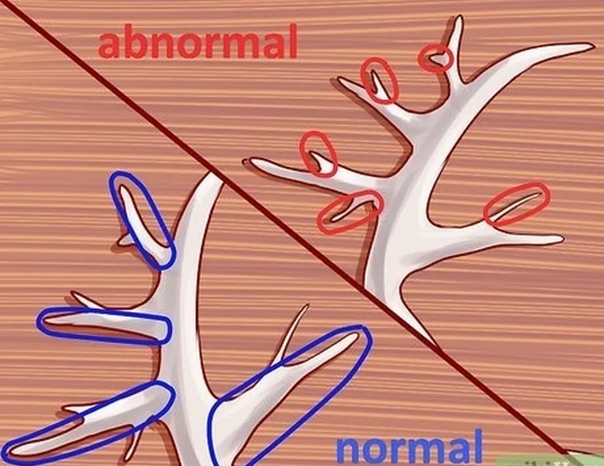 Etapa 1 Distinga os pontos normais dos pontos anormais.