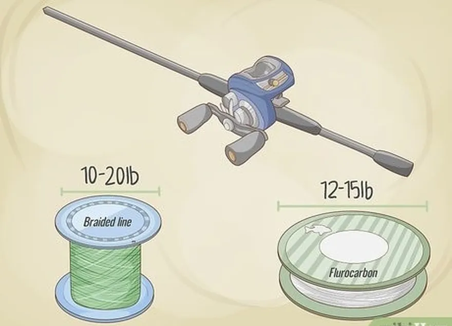 Etapa 4 Use linha de fluorocarbono ou trançada com um molinete e uma vara de lançamento de isca.