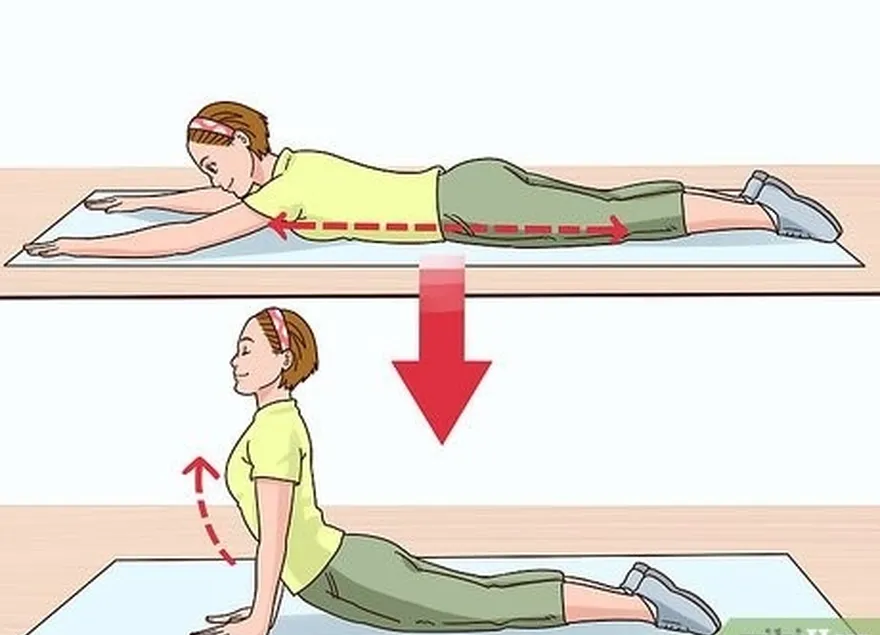 Etapa 8 Faça um alongamento em forma de selo.