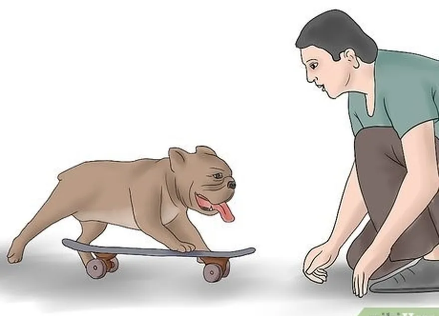 Etapa 2 Apresente o skate ao seu cão.