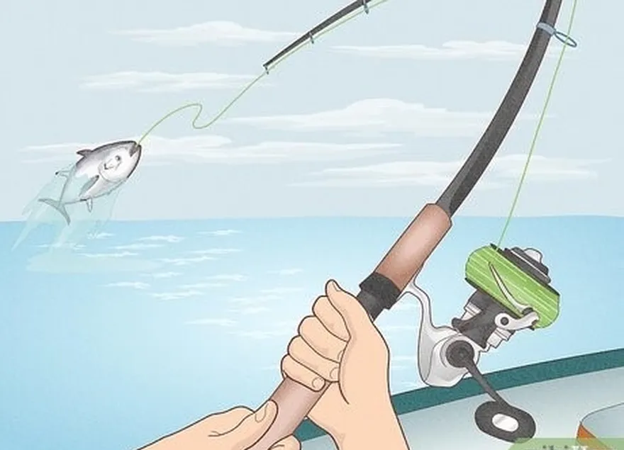 Etapa 4 Use uma vara de pesca de corrico de água salgada para peixes maiores.