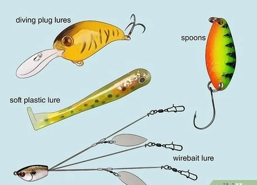 Etapa 4 Entenda os usos de vários tipos comuns de iscas.