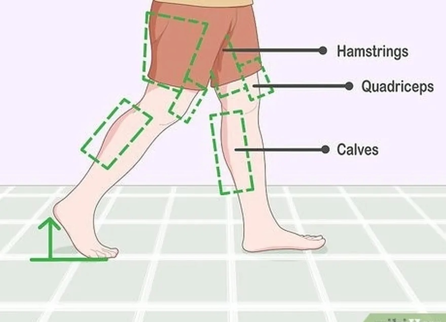 Etapa 2 Use as panturrilhas, os isquiotibiais e os quadríceps para caminhar com eficiência.