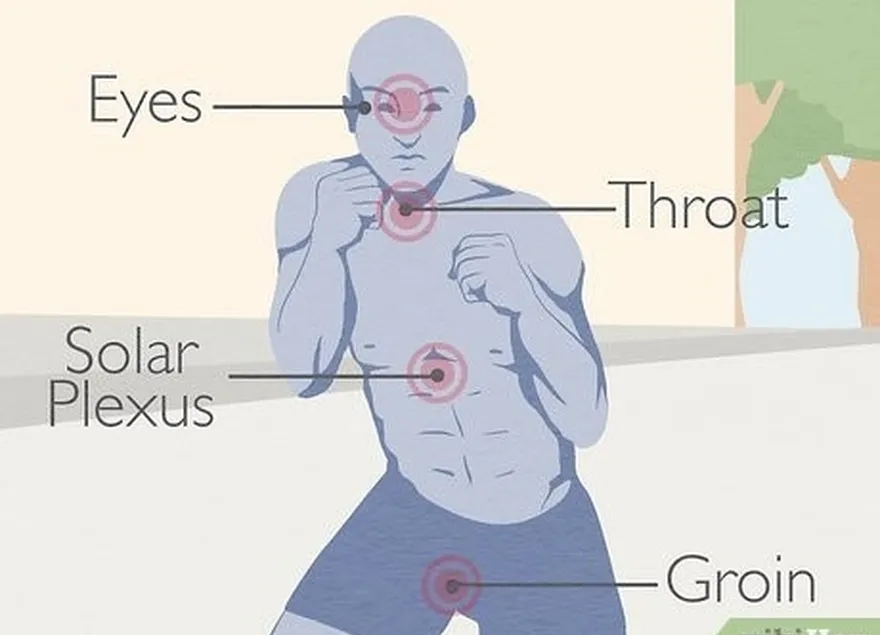 Etapa 5 Apontar para os pontos fracos de seu oponente's body.